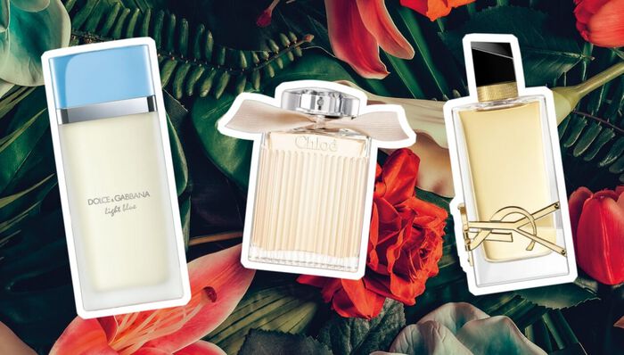 perfumes de senhora